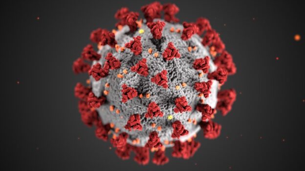 Coronavirus-1024x549-624x3511